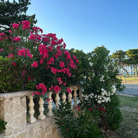 Marin Appartamento Privlaka (Zadar)