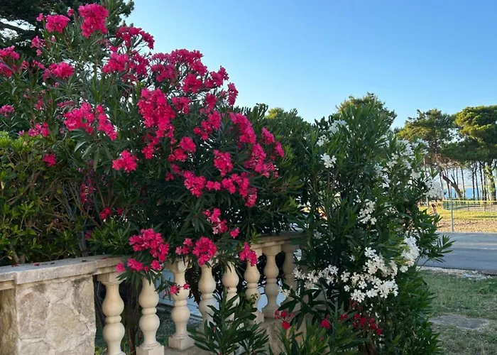 Marin Apartament Privlaka (Zadar)