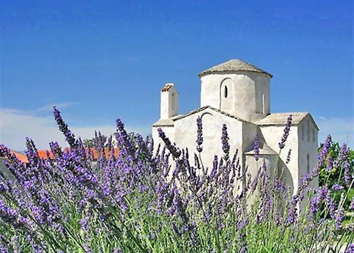 Marin Privlaka (Zadar)